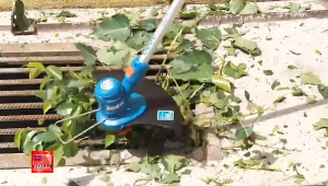 【TOTAL】20V Lithium Grass Trimmer | 1.6mm Twisted Line | 5.5m Line Length | Household Lawn Mower | Weed Cutter (Battery Sold Separately)