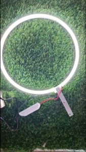 Đèn LED neon hào quang đường kính 30cm- đèn trang trí tượng công giáo ánh sáng xanh hoặc trắng - đèn LED neon