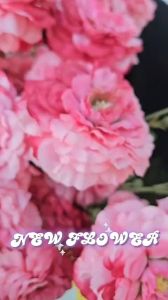 Bunga Artificial Peony Mekar Eropa PREMIUM K3 Aksesoris Dekorasi