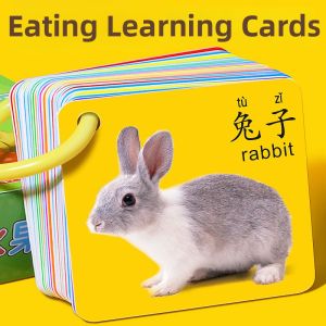 ZHIYADU | Early Education Cognitive Durable Flash Cards