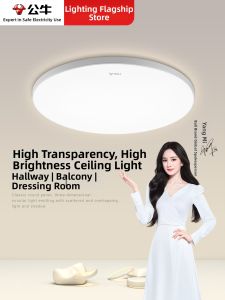 Bull | Yangmi Edition Small Balcony Bread-Shaped Ceiling Light