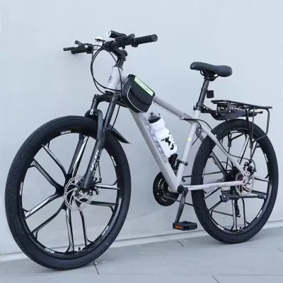 Adult Mountain Bicycle Disc Brake Shock Absorption