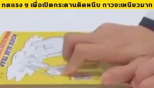 กาวดักหนู แบบสำเร็จรูป ติดทน ไม่ไหลเยิ้ม น้ำยา ใช้งานง่าย เก็บได้นาน ขนาด กาว และกาวดัก กาวดักหนู ดักหนู กาวดักแมลง กาวดักหนู ถาด น้ำยา หนู ไล่ ดัก หนู