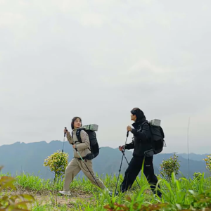 Walking Stick for Hiking Outdoor Folding Alpenstocks Outdoor Hiking Anti-Shock Three-Section Adjustable Heights