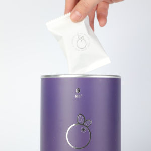 Authentic Blueberry Dried Fruits Sugar Free Independent Pack Tea And Water Brewing Long White Mountain Blueberry Snacks Nuts