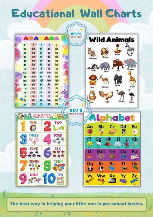 Laminated Educational Charts A4 Size | Lazada PH