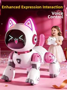 JIHU | Electronic Walking & Talking Childrens Toy Robot