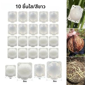 10pcs 5/8/12 ซม.รากพืชปลูกกล่องแรงดันสูง Propagation Ball Garden Graft กล่อง Reusable พืช Rooting อุปกรณ์