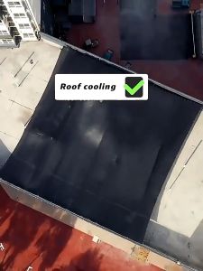 Black Sunshade Net: A Comprehensive Guide