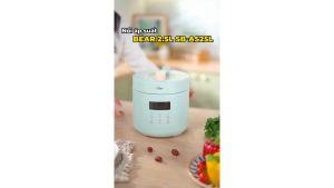 Nồi áp suất Bear SB-AS25L - Dung tích 2.5L Nhiều chế độ Hẹn giờ - Bản Tiếng Việt
