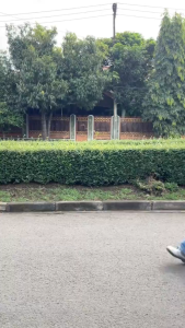 Jersey Wanita Reguler Casual SLM88 - Jersey Wanita Adem - Jersey Reguler Premium Full Print