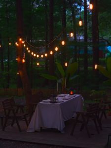 CANEMIJIA สูงสว่างพลังงานแสงอาทิตย์ไฟ String 23/33/49FT 11/21/32หลอดไฟ Shatterproof กันน้ำ S14 LED ไฟ LED พลังงานแสงอาทิตย์สวนกลางแจ้ง ไฟโซล่าเซลล์ โซล่าเซลล์ ไฟสปอร์ตไลท์ solar light ตกแต่งคริสต์มาส