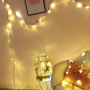 Dây Đèn LEd Kim Cương Cuốn Cây Trang Trí Nhà Cửa Sân Vườn ( cuộn 40m )