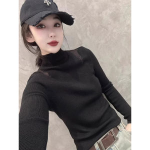 Autumn Elegant Turtleneck Fitting Long Sleeve Knit Top