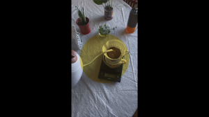 Thailand Pangkhon Narongrit Honey (coffee beans for filter brewing)