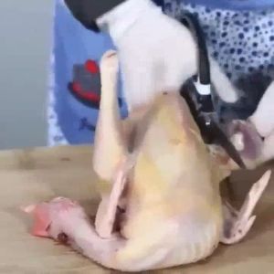 QCF Gunting Dapur Multifungsi Stainless Steel: Gunting Serbaguna Murah Kitchen Scissor Gunting Daging