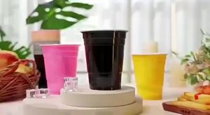 16oz Plastic Cups 10Pcs Disposable Party Cups Water Cups Drinking Cups Party Supplies For Graduation Ceremonies Beverages Drinks