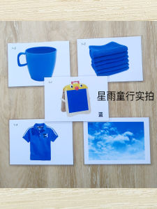 Color Item Matching Card Lonely Autism Kids Language Retardation Training Expression Improvement Teaching Toy