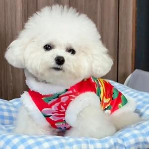 Warm Cotton Jacket for Little Dogs New Year Teddy Bichon Pomeranian Puppy Pet Cat Northeast Big Flower Coat Trendy Polyester Fiber