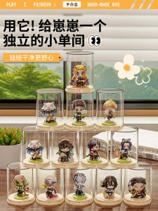 Acrylic Display Storage Box for Figurines Blind Boxes Single Doll Showcase Popmart Toy Organizer Bedroom Decoration