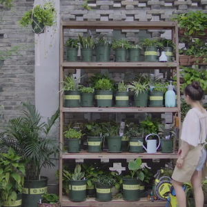 Plastic flower pots environmentally friendly resin root control thickened gallon flower pots balcony plastic pots