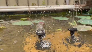 Ang Solar Fountain Pump Set Solar Water Pump ay may kasamang 4 na nozzle independiyenteng solar panel at 3 metro ang haba ng cable DC 7V 180 litro/oras angkop para sa mga paliguan ng ibon hardin ng patyo tangke ng isda swimming pool pond aquarium atbp