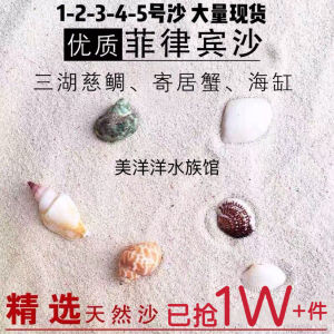 Premium Coral Sand Shell Sand No-Wash Crab Anemone Fish Three-Lake Carp Crab Bedding Aquarium Decoration Landscape Material