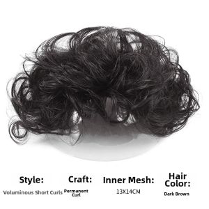 Luxurious Real Hair Wig Partial Volumizing Short Curly