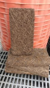 Organic Fern Slab/block For Orchids Good For Trailing and Hanging Live Plants Like Orchids and Vines 10x5 size