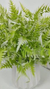 Daun Rumput ACC Star Polos cabang 7 Tanaman Hias rumput hias plastik - Dekorasi Ruangan - bunga import murah - Daun artificial - hiasan bunga Dekorasi Pelaminan - Dekorasi Kamar