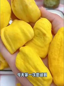 Trái Cây Sấy Đông Không Chất Bảo Quản
