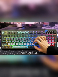 Bàn Phím Không Dây Xunfox K98 - Bàn Phím Giả Cơ RGB Kết Nối 3 Chế Độ Bố Cục 99 Phím