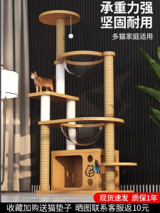 Ghế Leo Treo Cho Mèo Bằng Gỗ Nguyên Khối Không Gian Trung Quốc Trung Hoa Nội Dung Chất Liệu Vải Nhung Bắc Cực Vật Liệu Tự Nhiên