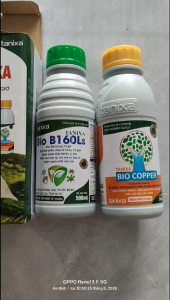 Bộ đôi trị ch.áy lá-nấm bệnh-nứt thân xì mủ-vàng láthối rễ-thối trái-400l nước