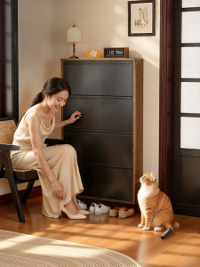 MEISD | Ultra-slim Retro Flip-door Steel Narrow Entrance Shoe Cabinet