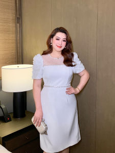 French Elegant Embroidered Plus Size Dress