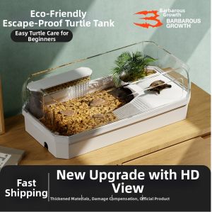 Tailwise | Eco-friendly Decorative Turtle Tank with Basking Platform and Filter