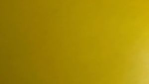 Cặp bao tay xe máy kiểu theo xe Wave (có ông ga) (MS04)