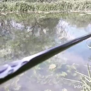 Mồi Câu Cá Hunthouse Rat Lures 85mm 17g Nổi Mô Phỏng Mồi Câu Với Đuôi Thay Thế Được Dành Cho Cá Mú Cá Lóc LW135