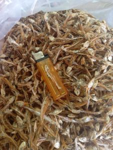 IKAN TERI TAWAR  murah enak garing 1kg