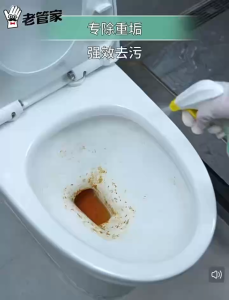 Floral toilet cleaner decontamination descaling fragrance toilet cleaning spirit