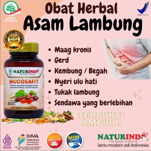 Mucosafit Obat Asam Lambung Kronis Herbal Paling Ampuh Maagh Maag Gerd Mah Perut Kembung Dan Begah Dewasa Sendawa Terus Menerus.