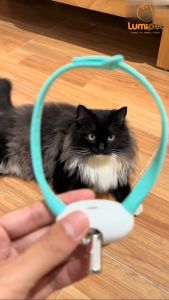 Lumipet Kalung Laser Mainan Kucing: Cara Bermain & Maksimalkan Hiburan