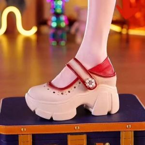 IELGY Breathable mary jane shoes womens high heels thick sole height increasing high heels