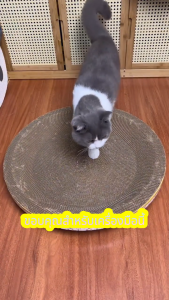 ที่ฝนเล็บแมว ที่ลับเล็บ รูปอ่าง ที่ลับเล็บแมวขนาดใหญ่ ที่ขูดเล็บ ของเล่นแมว ที่ลับเล็บแมว ฝนเล็บแมว ของเล่นแมว ที่นอนแมว