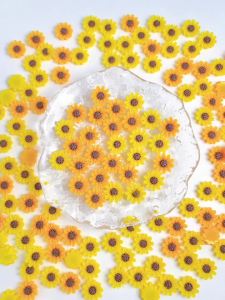 50PCS Minimalist Simulated Artificial Sunflower Resin Nail Charms 3D Sweet Fresh Pastoral Flower Nail Art Decorations DIY Nails