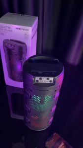 Wireless Karaoke Bluetooth Speaker with Dual Microphones Original Portable Speaker Radio