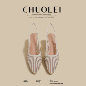 CHUOLEI | Spring New Fine Heeled Striped Mesh Pumps