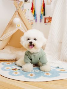 Pet Clothes Dog Vest Cat Teddy Bichon Samoyed Small Dog Autumn Wear Pullable Pet Vests Comfortable Casual Style Pet Supplies