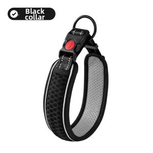 7o | Adjustable Dog Collar and Leash for Various Dog Sizes